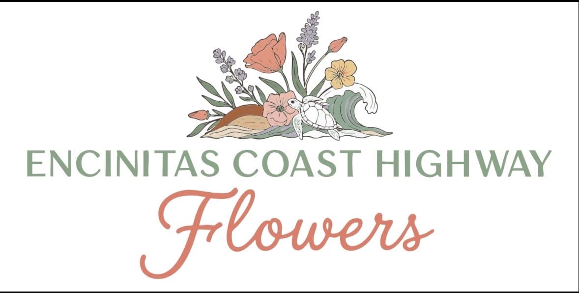Encinitas Coast Highway Flowers